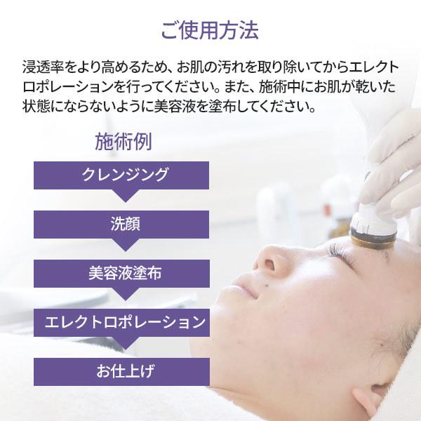 ポレーション 美顔器 HD エレクトロポレーション美顔器 エステ機器