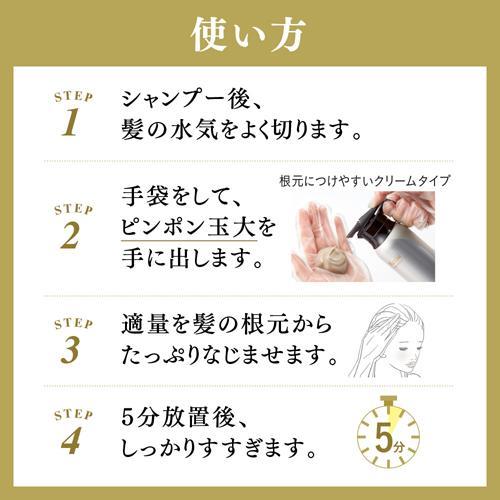 ブローネ リライズ 白髪用髪色サーバー リ・ブラック まとまり仕上げ