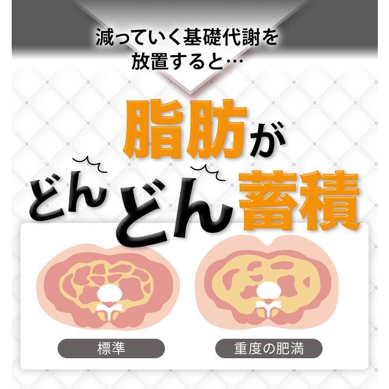 サン・クラルテ製薬 サプリ ダイエット 機能性表示食品 カルカラ