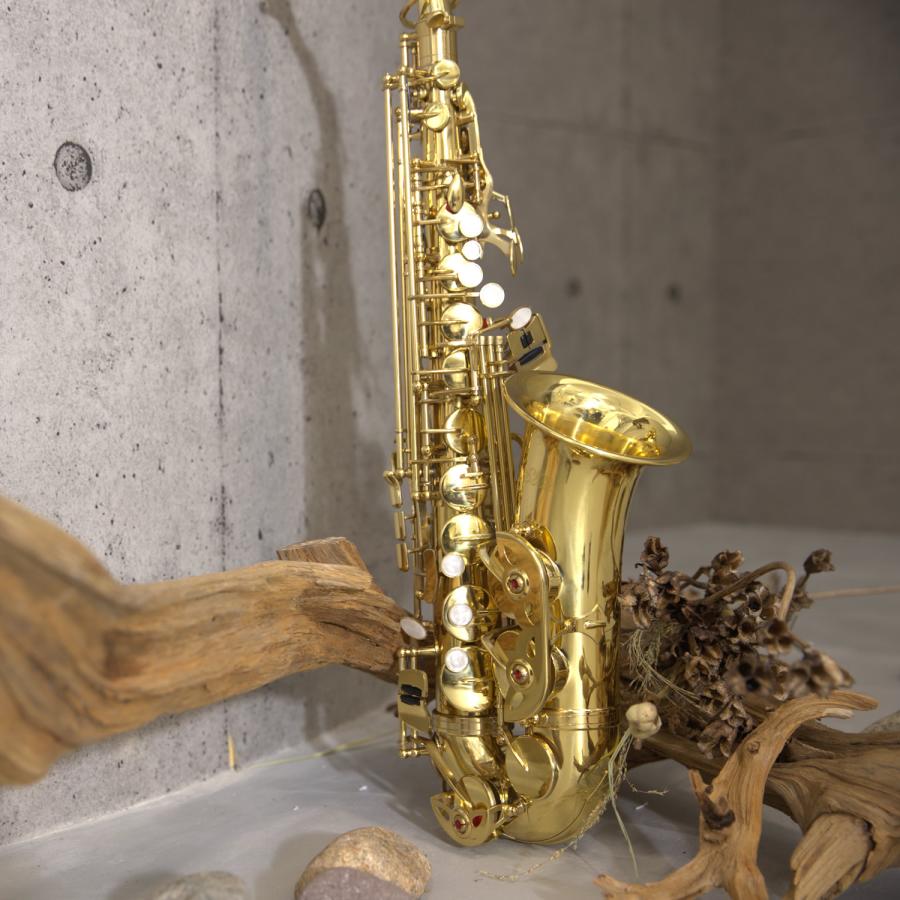 Soleil アルトサックス SAL-1 初心者入門セット〔ソレイユ SAL1 管楽器