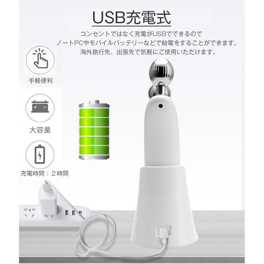 美顔ローラー EMS美顔器 マイクロカレント RF波 ラジオ波 小顔 リフト