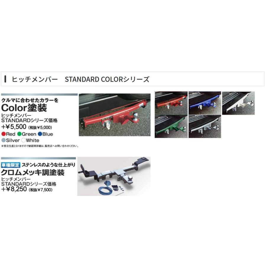 300系ランドクルーザー(ZXモデリスタ)ヒッチメンバータグマスター