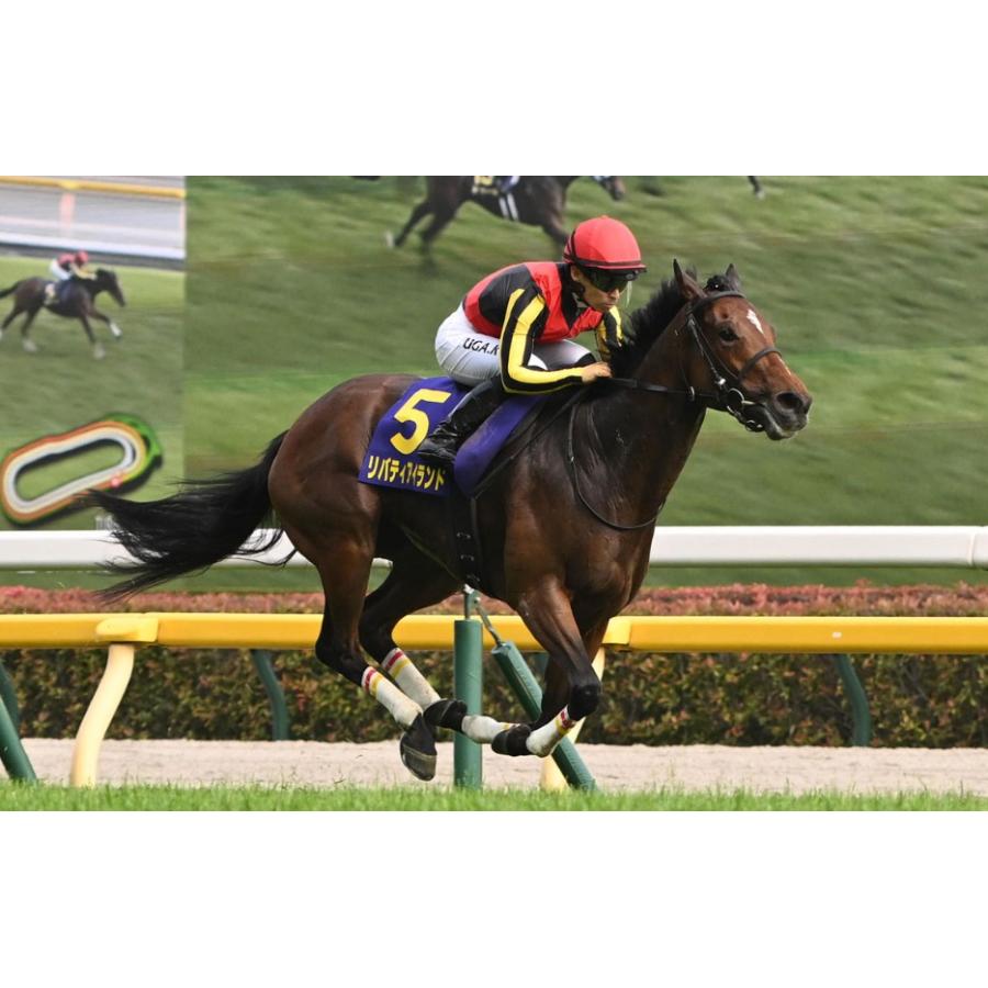 リバティアイランド 三冠制覇特別仕様！ Sサイズ ぬいぐるみ アイドル