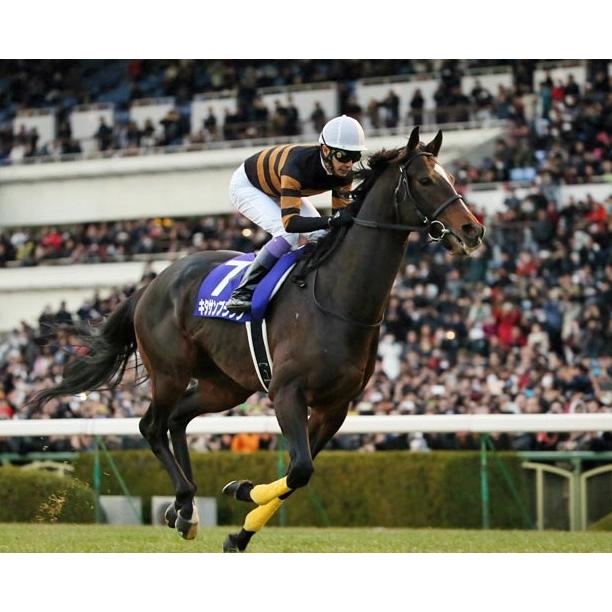 キタサンブラック ぬいぐるみ 超BIGサイズ！（Lサイズ） アイドル