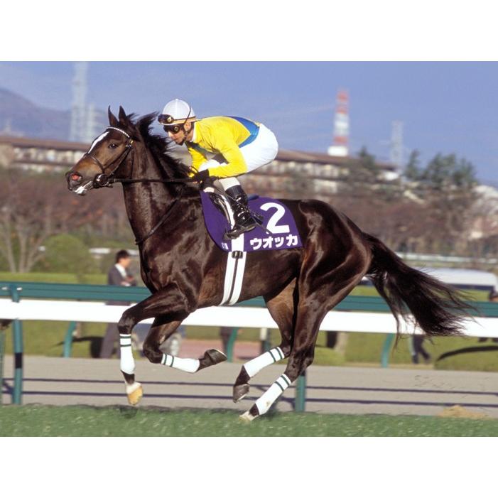 ウオッカ ぬいぐるみ Mサイズ アイドルホース 第74回日本ダービー優勝