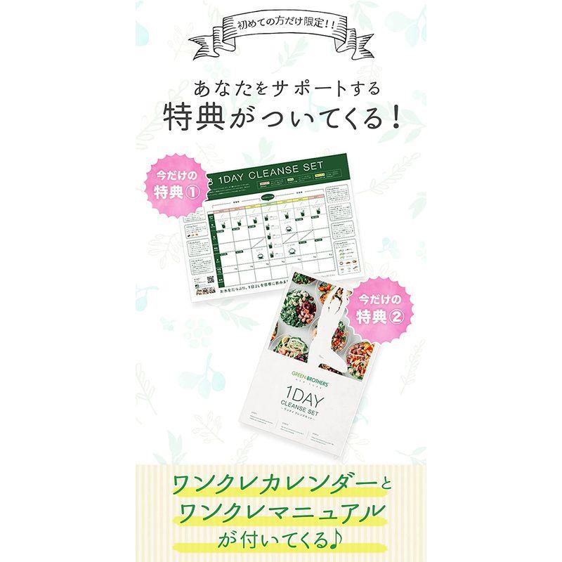 GB 1DAY CLEANSE SET ワンデイクレンズセット ファスティング