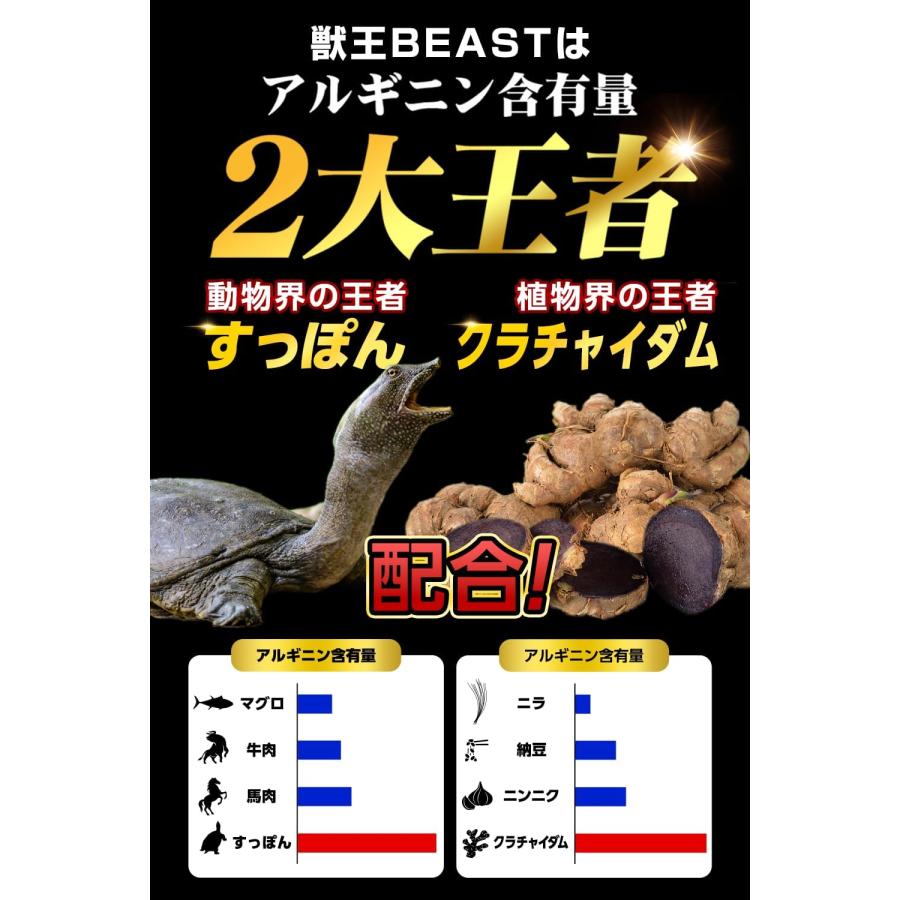 獣王beastサプリ 獣王ビースト 45粒 2袋 メンズサプリ クラチャイダム