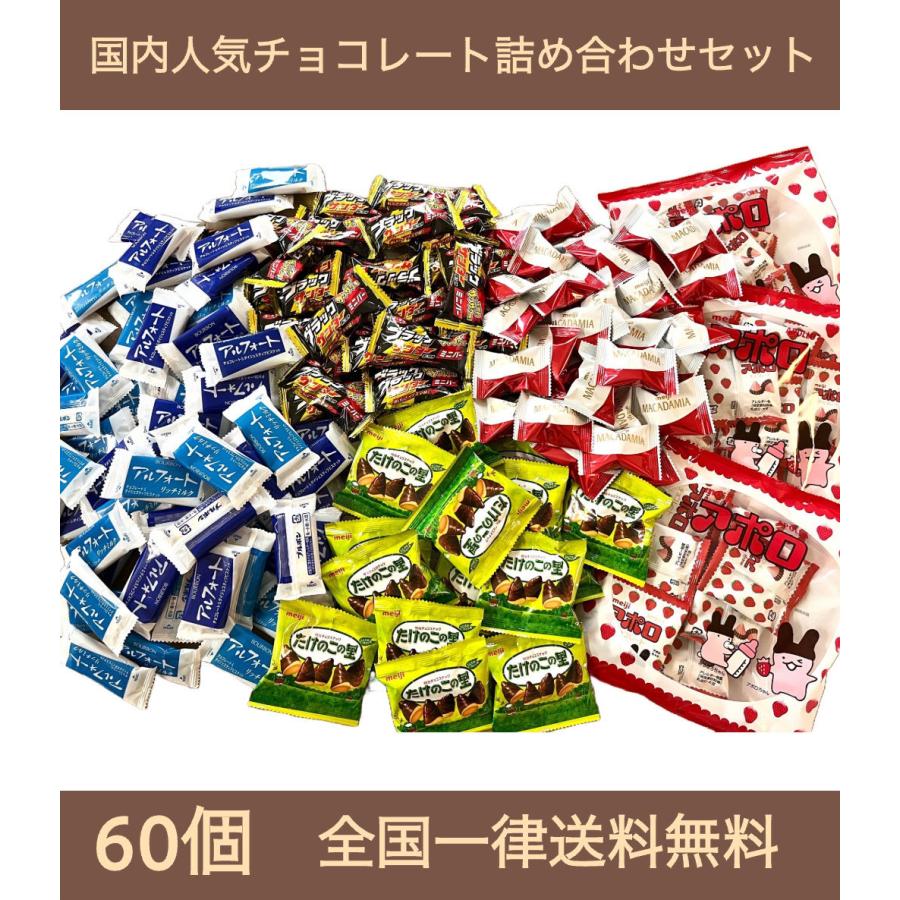 明治（meiji） 【60個】全国一律送料無料 国内チョコレート詰め合わせ