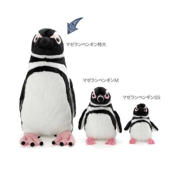 すみだ水族館 オリジナル 飼育員監修 マゼランペンギン ぬいぐるみ