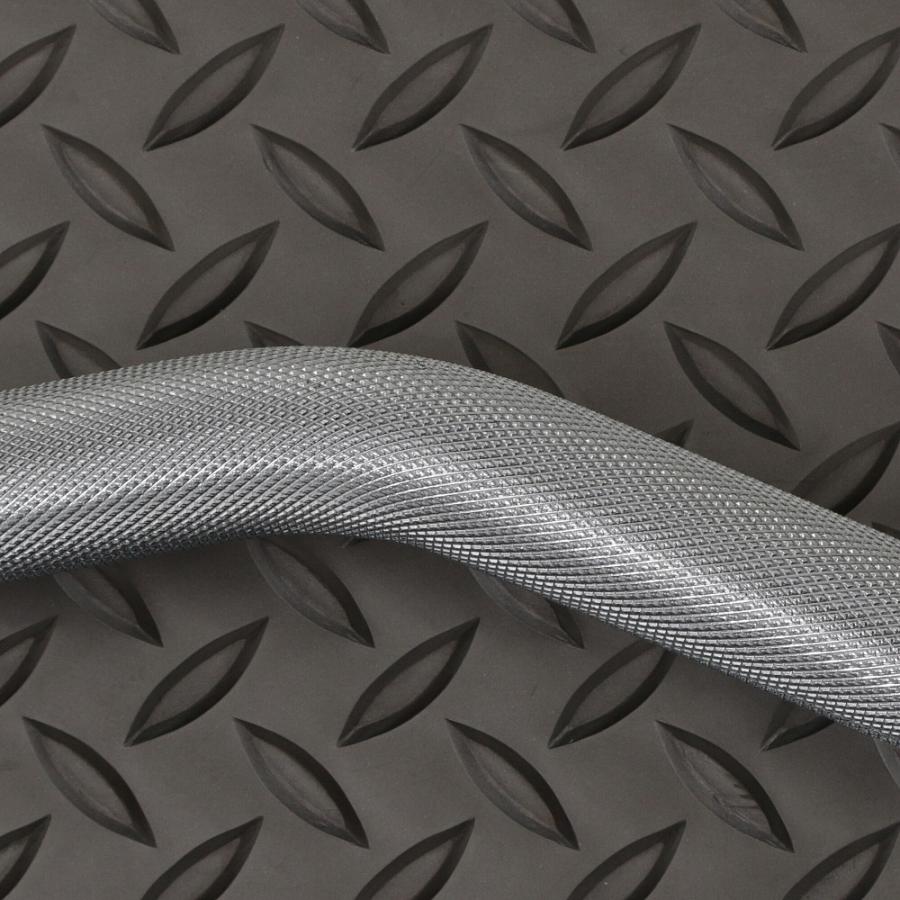 IROTEC（アイロテック） EZバー オリンピック Wバー 径50mmプレート