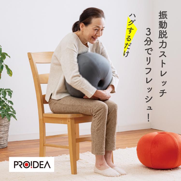 PROIDEA（プロイデア） ストレッチパートナー ハグスフィア 抱えてる