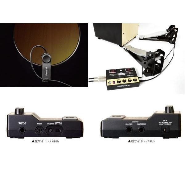 ローランド（Roland） EC-10M カホン用マイクプロセッサー : ワタナベ