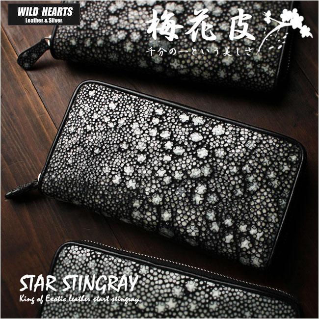 スティングレイ／エイ革 スタースティングレイ ガルーシャ 海の宝石 星