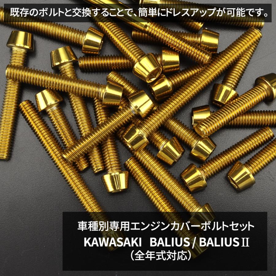 TECHーMASTER（テックマスター） バリオス/II BALIUS エンジンカバー