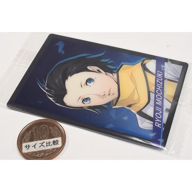 BANDAI（バンダイ） ペルソナシリーズ ウエハース2 P3R＆P4G＆P5R [6