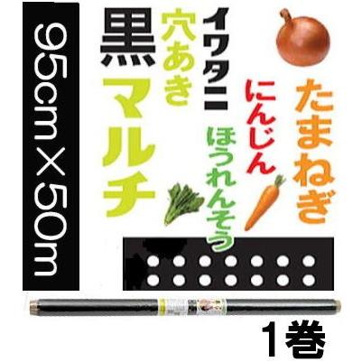 岩谷マテリアル イワタニ 菜園 たまねぎ用 穴あき黒マルチ 玉ねぎ黒