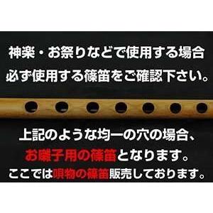 日音 篠笛 唄物 7穴 7本調子 ケース付 プラスチック : 和楽器総合販売