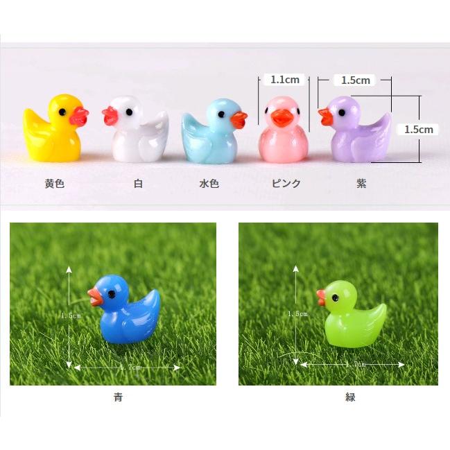 アヒル 模型 5匹 あひる 動物 フィギュア テラリウム ミニフィギュア