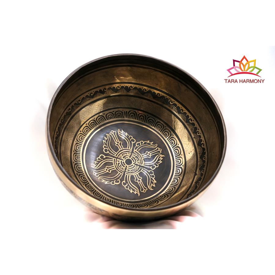 シンギングボウル 24cm 【ダブルドルジェ】（超美音） ソルフェジオ