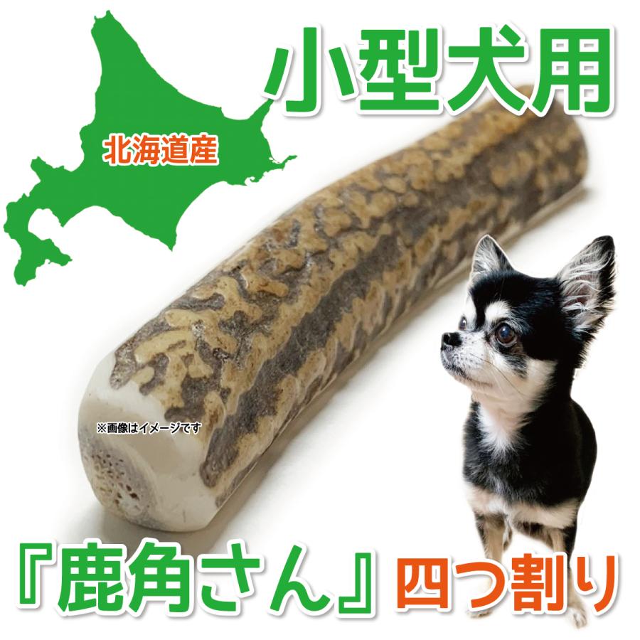 鹿の角 小型 犬 用 鹿角さん 四つ割り 1本 天然 無添加 北海道産 蝦夷