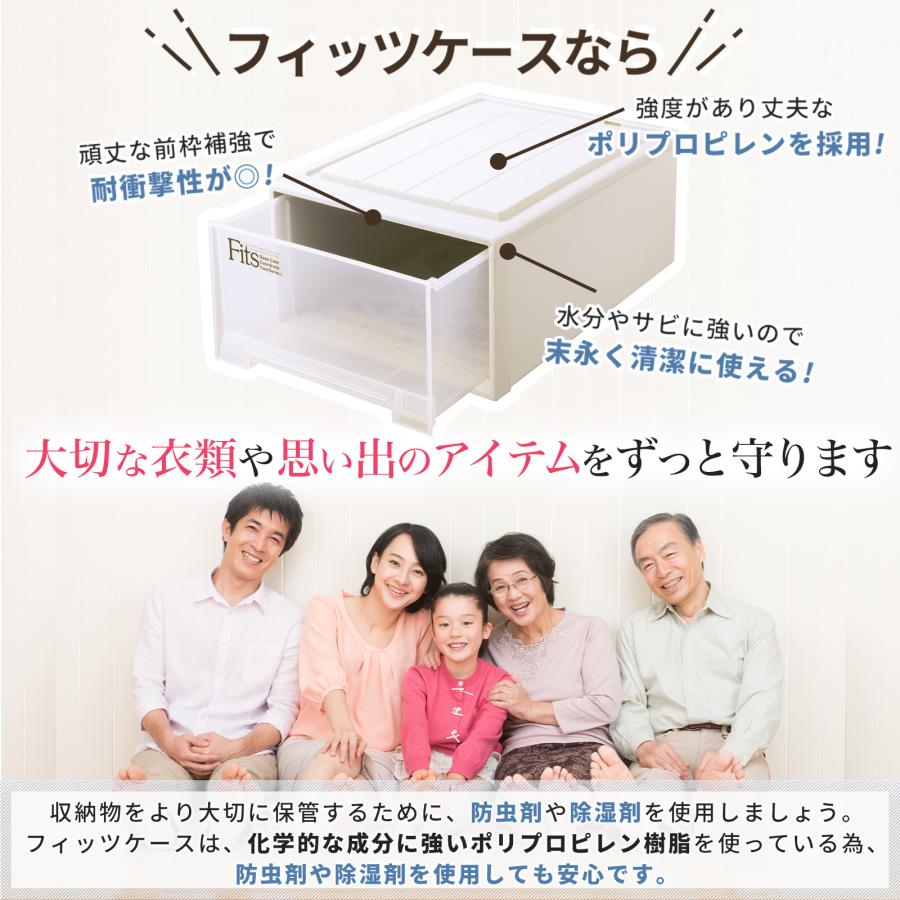 天馬 収納ケース 衣装ケース フィッツケース クローゼット M-53