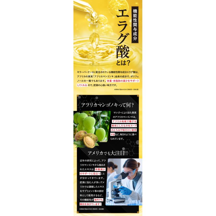 公式_正規販売店】3個セット キラーバーナー II ダイエットサプリ 倖田