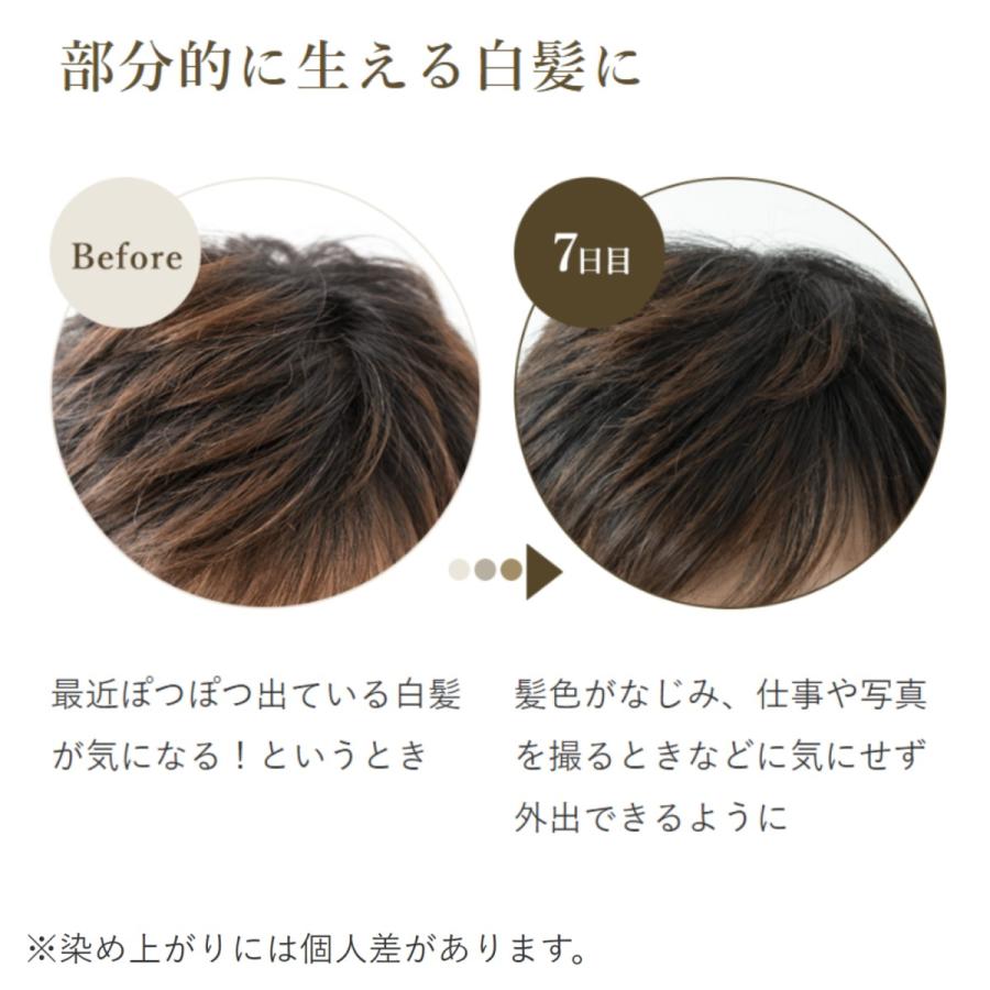 生活の木 公式 ヘアカラー トリートメント ダークブラウン 200g 暖色