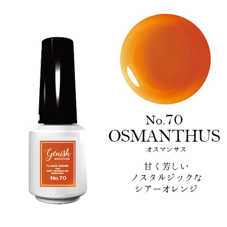 ジーニッシュ マニキュア ネイル セルフネイル ジェルネイル 65 70 71