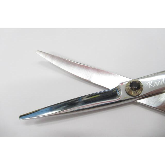 Aランク【Scissors Navigator S2 エスツー】 カーブシザーシザー