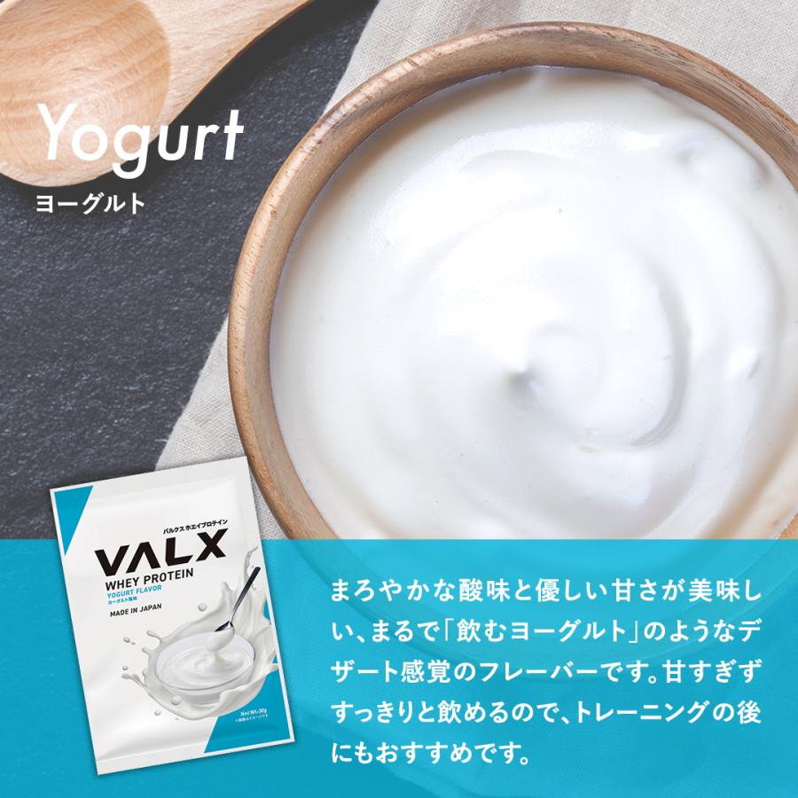 VALX（バルクス） ホエイプロテイン WPC コンプリートセット お試し 個