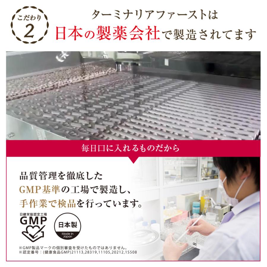 VitabridC 公式 ターミナリアファースト（グルメサプリ）3袋 血糖値 中