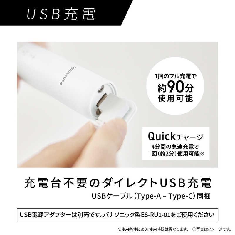 パナソニック Panasonic 電動歯ブラシ Doltz ドルツ [ 音波振動式