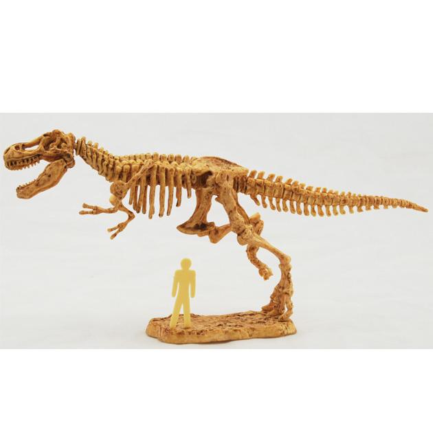恐竜 スケルトン・キット 【ティラノサウルス】 骨格 インテリア