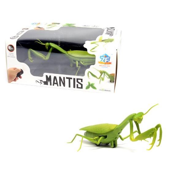 赤外線 RC カマキリ リアル 虫 昆虫 おもちゃ(送料別商品) : LE-Ciel