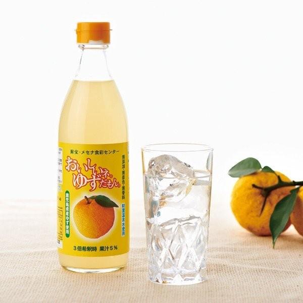 財宝 (ポイント2倍) ゆず ジュース 希釈タイプ 500ml 6本 鹿児島県産