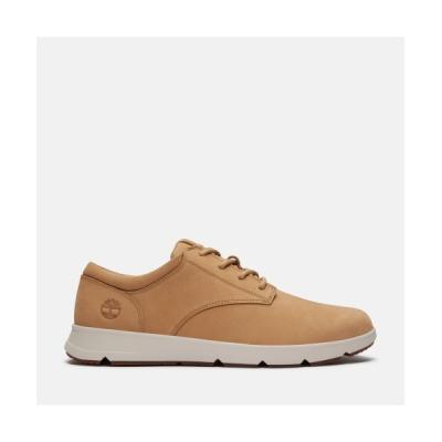 Timberland メンズスニーカー（サイズ（cm）：26.5cm）｜シューズ