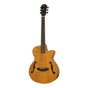 ARIA FET-F2 STBK(Stained Black) エレクトリック・アコースティック