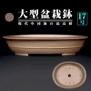 盆栽鉢 植木鉢 バーゲン 「烏泥外縁下紐丸鉢」 陶器 古渡 中国宜興 20