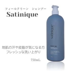 Amway（アムウェイ） サテニーク リペア シャンプー コンディショナー