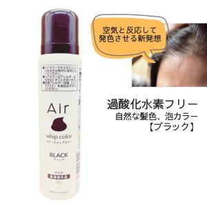 ビーリス b.ris エアリーカラーリングフォーム 80g ブラック 白髪染め
