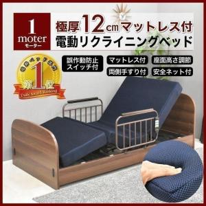 介護用ベッド シエントII（シエント2） G-CTIIF0R91N（G-CT2F0R91N