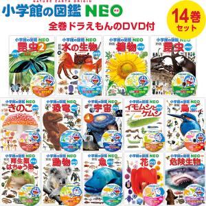 小学館の図鑑NEO／1〜20巻セット : 脳トレ生活 - 通販 - Yahoo