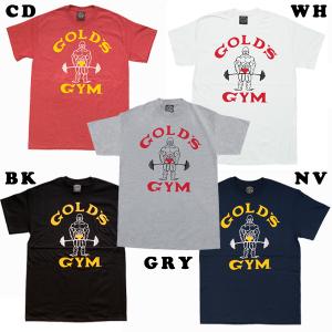 公式サイト GOLD'S GYM ゴールドジム G7352 インナー付きバイク