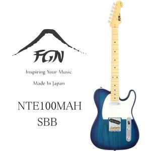FUJIGEN（フジゲン） FGN FUJIGEN NTL10RAH-WB Neo Classic SERIES