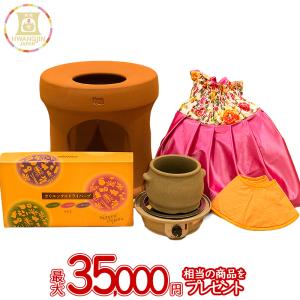 ポイント10倍】ファンジン 黄土韓方蒸し スタートセット 自宅 よもぎ