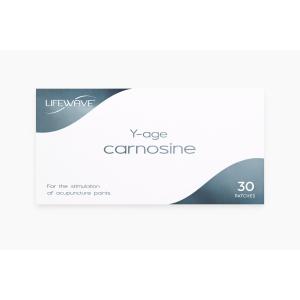 エックスサーティナイン ライフウェーブ X39 パッチシール 30枚 説明書