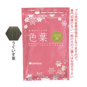 香草カラー色葉 こげ茶 300g(100g×3) : サロン専売品のナカノザ