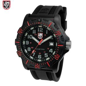 数量限定特価！LUMINOX 岩城滉一 Falling Bones ルミノックス フォー