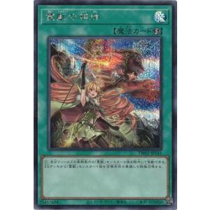 罪宝の欺き 遊戯王 : トレカショップ竜のしっぽ Yahoo!店 - 通販