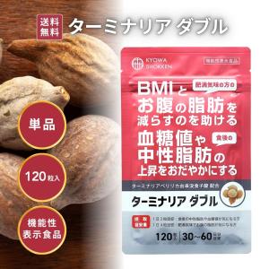 ○ターミナリアファースト プロフェッショナル4 タブレットタイプ 30